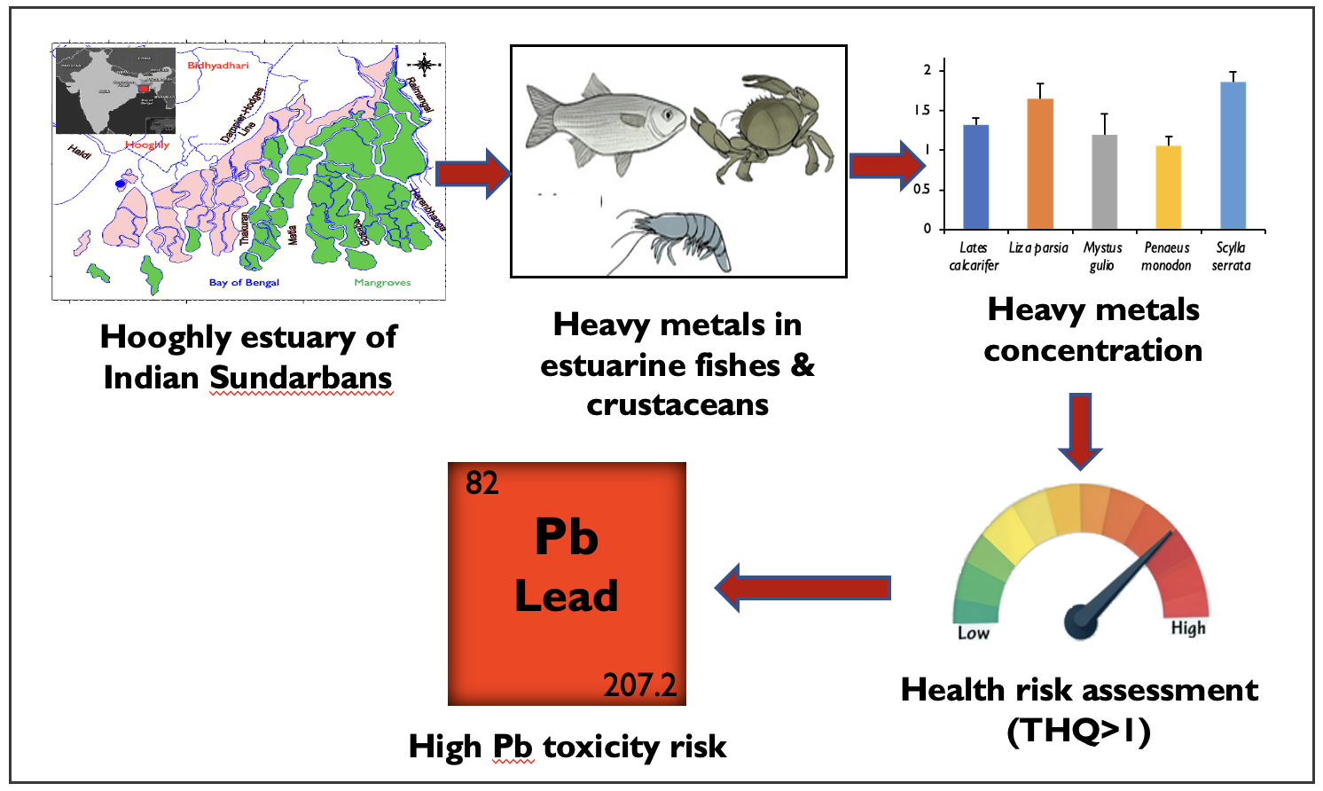 Graphical abstract for publication