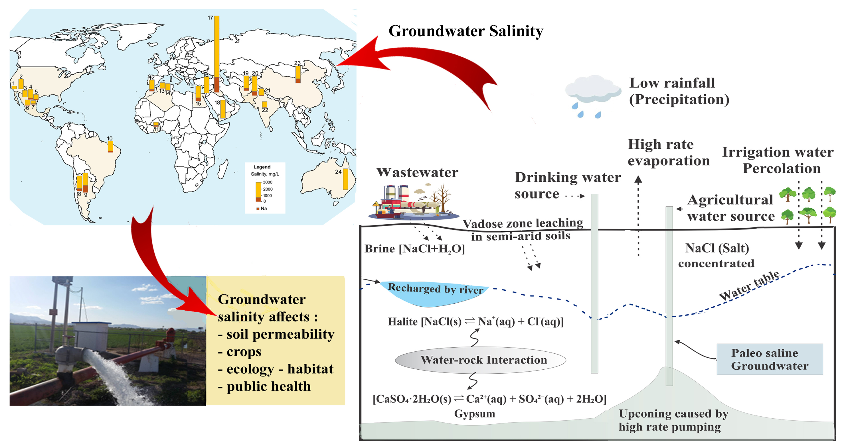 MG_Graphical_abstract